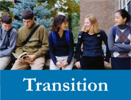 Transition Web Icon